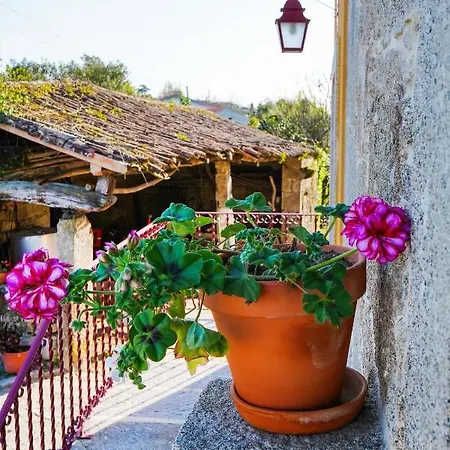 Casa Do Ribeiro Country house *