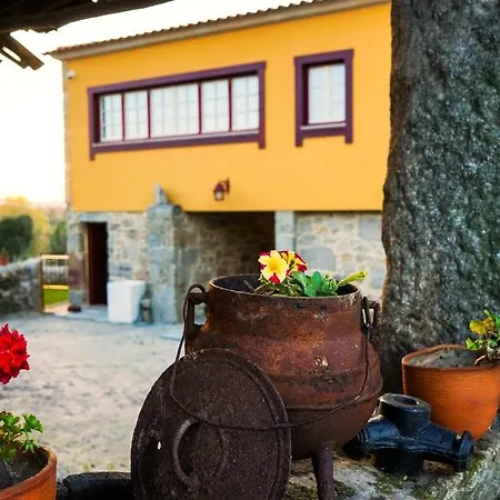 Casa Do Ribeiro Lago (Braga)