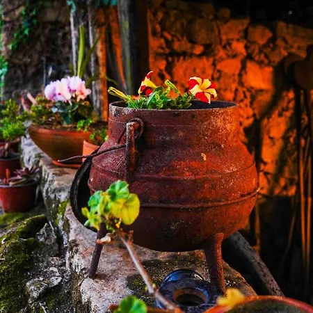 カントリーハウス Casa Do Ribeiro *