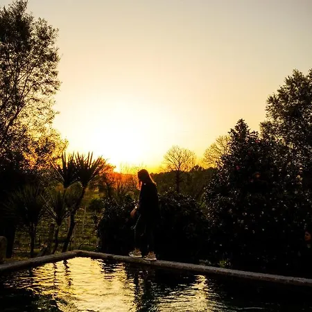 Casa Do Ribeiro Country house