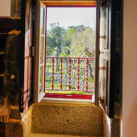 Casa Do Ribeiro Lago (Braga)