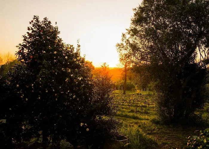 Casa rural Casa Do Ribeiro Lago (Braga)