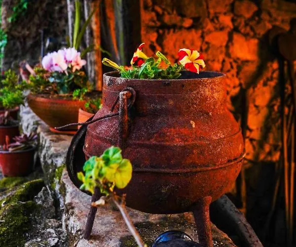 컨트리하우스 Casa Do Ribeiro *