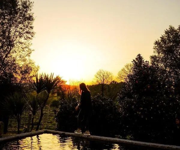 Casa Do Ribeiro 컨트리하우스